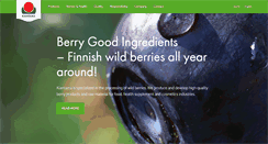 Desktop Screenshot of kiantama.fi